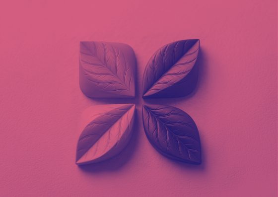 Duotone Effect example
