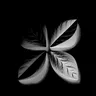 Emboss Effect