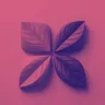 Duotone Effect
